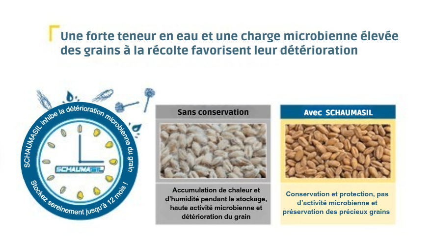 SCHAUMASIL stoppt den mikrobiellen Verderb SCHAUMASIL stoppt den mikrobiellen Verderb