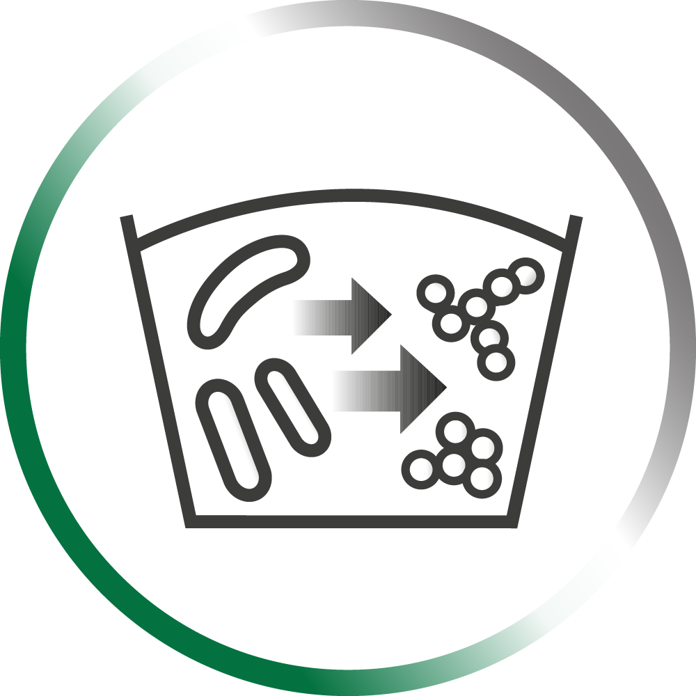 IconsWeb_Silierung IconsWeb_Silierung