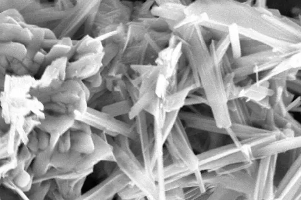 ACTILINC - Complexe de chélates d'oligo-éléments ACTILINC - Complexe de chélates d'oligo-éléments