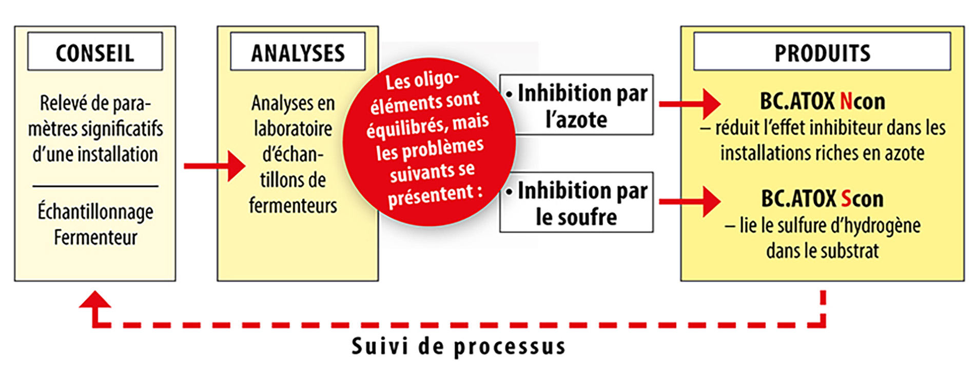 bc_atox_scon_id569_1900px_760px bc_atox_scon_id569_1900px_760px