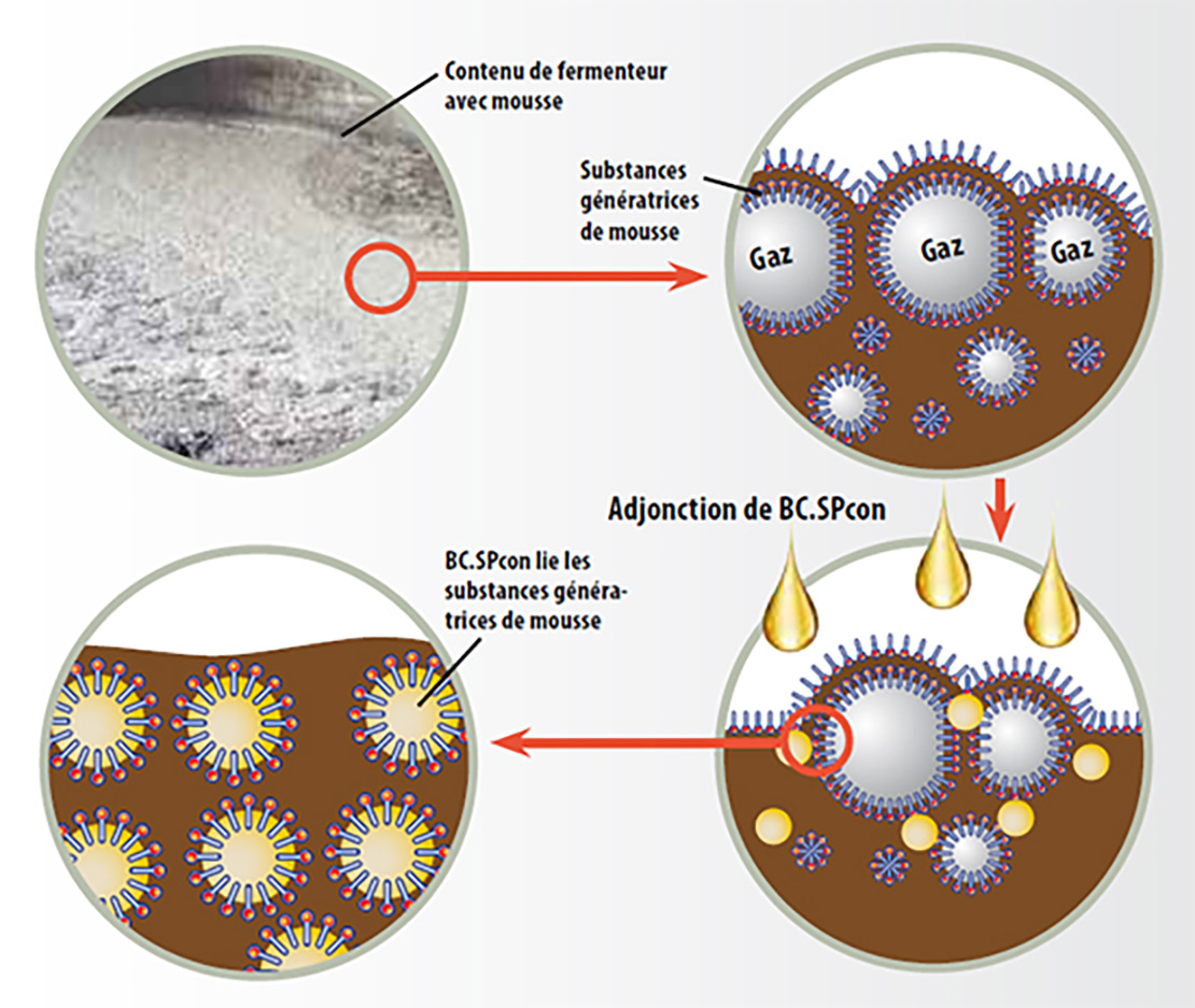 bc_SPcon_fermenter_fr_1110px_937px bc_SPcon_fermenter_fr_1110px_937px