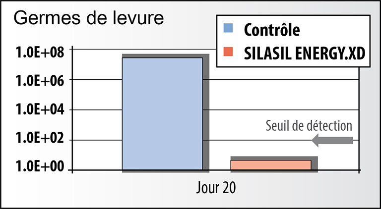 silasil_energy_xd_id442 silasil_energy_xd_id442