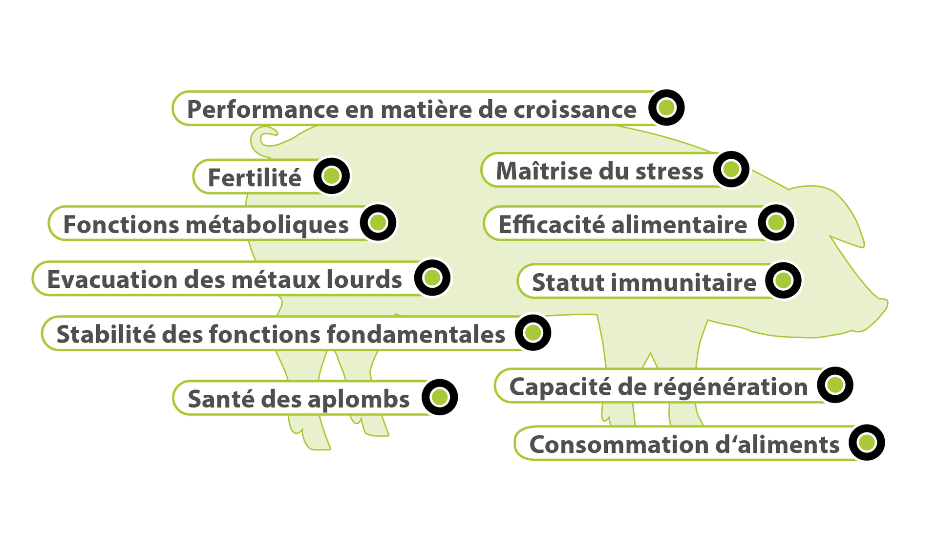 Domaines d'impact clés Domaines d'impact clés