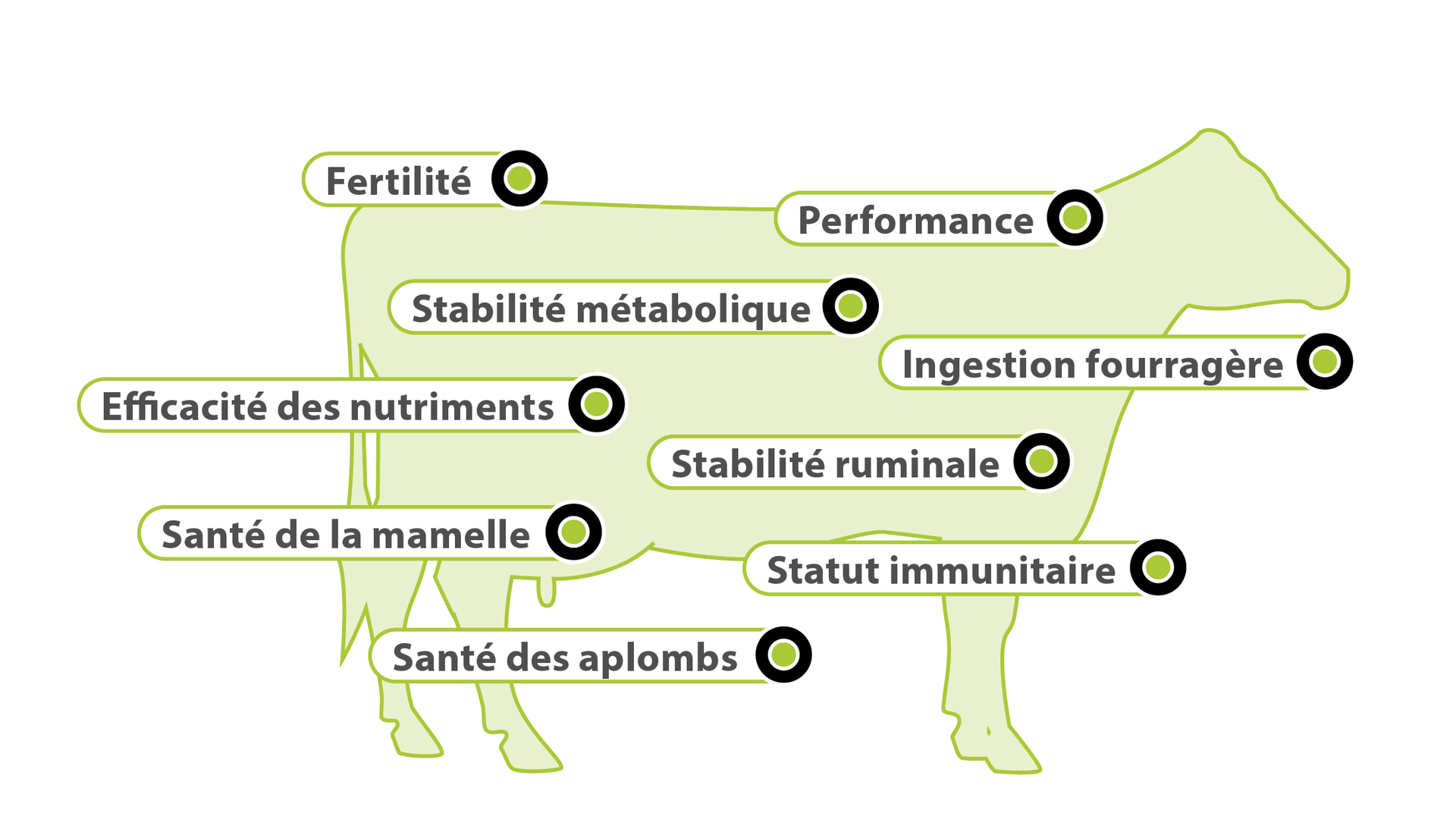 AMINOTRACE por les beufs AMINOTRACE por les beufs