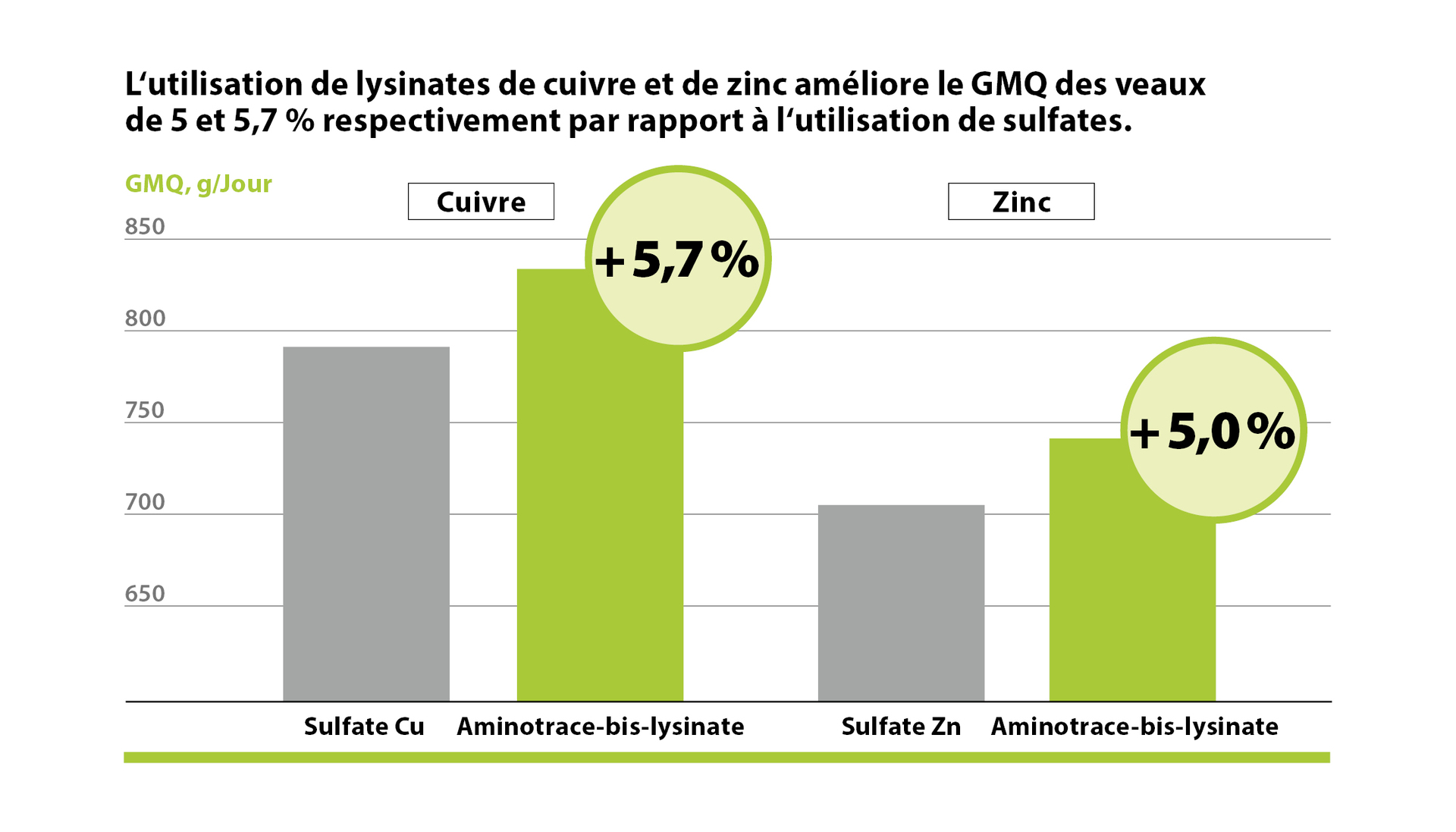AMINOTRACE chez le bétail AMINOTRACE chez le bétail