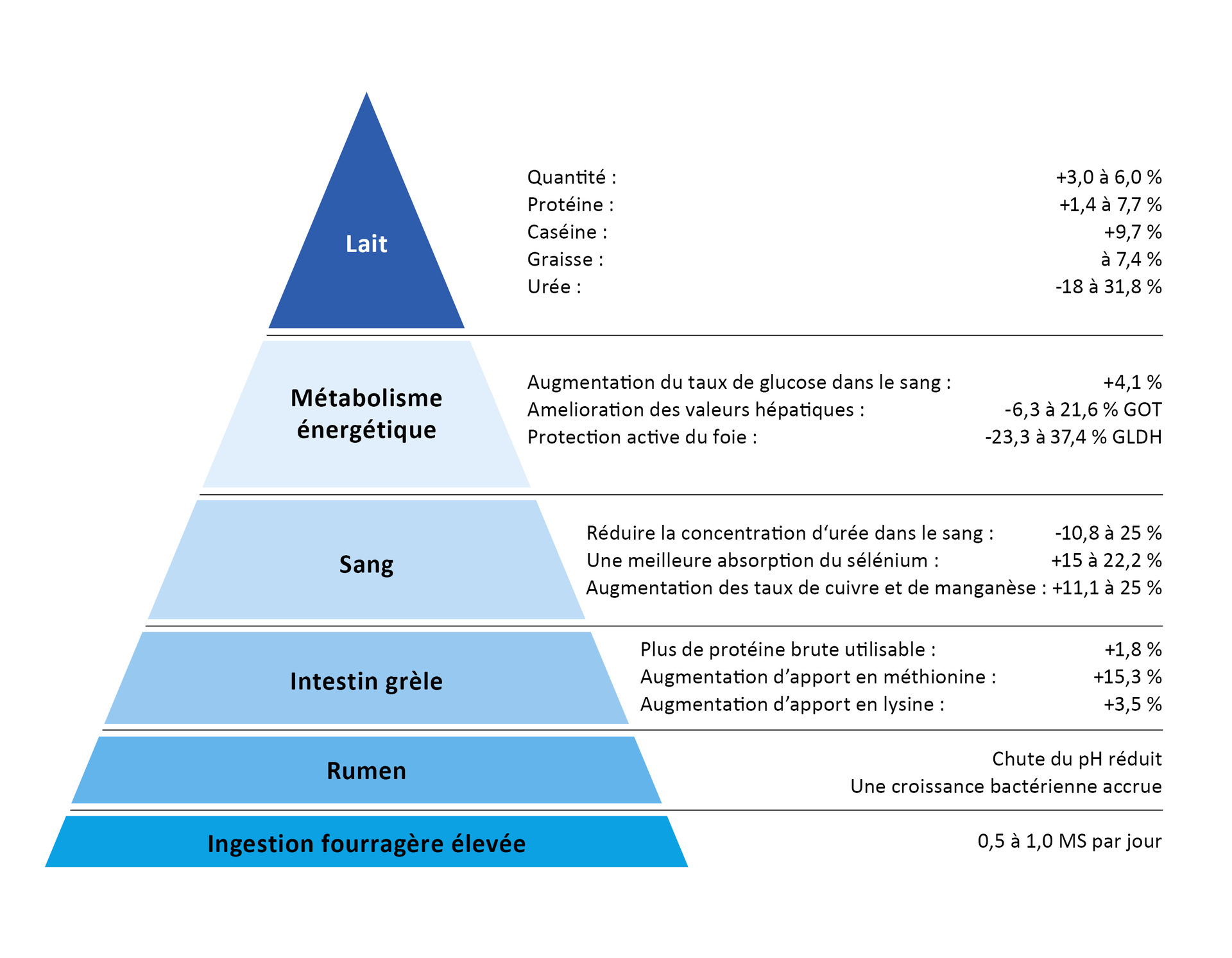 Pyramide des performances BOVIN-S-KOMPLEX Pyramide des performances BOVIN-S-KOMPLEX