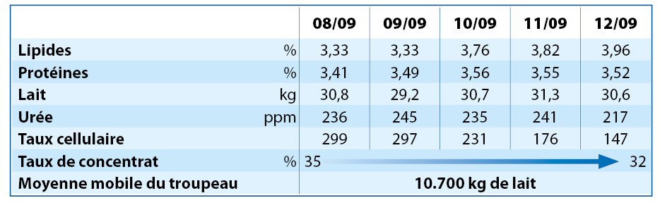 RINDAMIN BP RINDAMIN BP