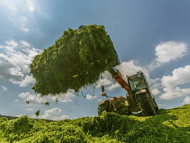 Radlader mit Grassilage Radlader mit Grassilage